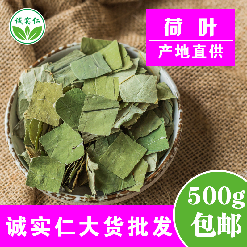 微山湖荷叶茶纯500g 野生天然干荷叶片新鲜荷叶特级正品荷叶泡茶 - 图0