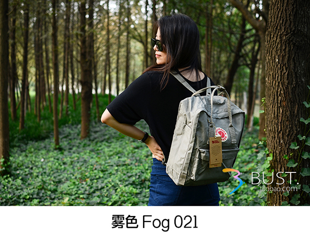 fog grey kanken