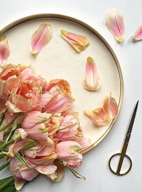 黄铜皮革装饰收纳托盘北欧