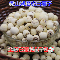 Five cereals Cereals Grinding lotus seed 250 gr white lotus seed red lotus seed lotus seed Centerless Dry Goods Fresh Lotus Seed full 30