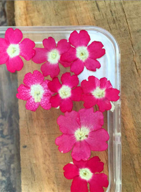 干花压花真花美女樱diy饰品