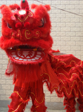 醒狮道具黄飞鸿南狮表演狮头用品