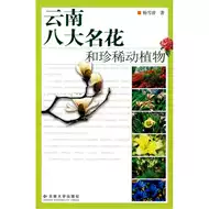 名花 新人首单立减十元 21年8月 淘宝海外
