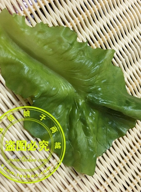 仿真生菜片模型道具 假大白菜叶片 软叶子摆件水果蔬菜装饰品玩具