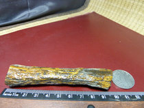 20604 Xinjiang Hamishar Lake surface silicalized wood shrub fossil handlebar piece