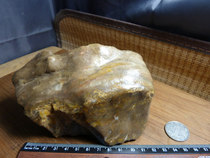 21358 The Second Silicon Chemical Wood on the surface of Hama Tai Nam Lake in Xinjiang