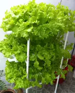 水耕栽培机 新人首单立减十元 21年7月 淘宝海外