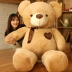 Ôm gấu búp bê gấu bông búp bê gấu trúc dễ thương cô gái đồ chơi sang trọng ngủ gấu lớn quà valentine - Đồ chơi mềm