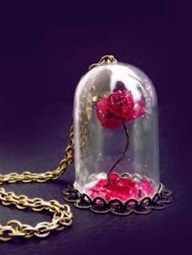 美女与野兽玫瑰小瓶情人节项链