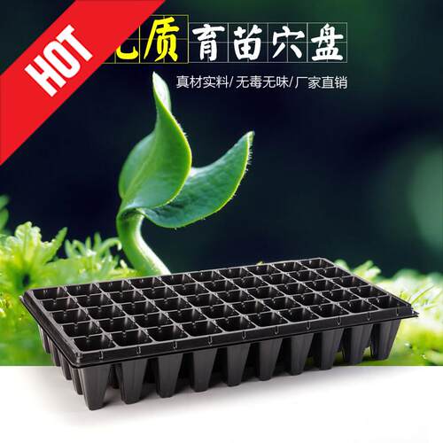 金农厂家直销环保PS材质穴盘芽苗盘育苗盆育苗盘种植盘多肉育苗盒 - 图1