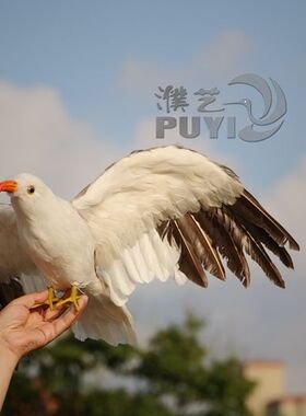 动物橱窗田园风装饰摆件
