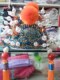 Opera Henan opera headdress emperor costume