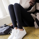 Демисезонные хлопковые утепленные леггинсы, термобелье, зимние штаны, 2019, в корейском стиле, осенние