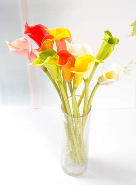 大号马蹄莲6支花束干花花瓶插花