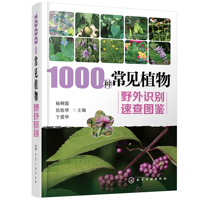 1000种常见植物野外识别速查图鉴  图解中草药大全 家庭书籍野外识别原植物鉴别图册中国常用手册 图识别与应用图典图谱 - 图0