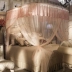 Nhà duyên dáng kính thiên văn ba cửa hạ cánh công chúa hình chữ U gió đôi 1,5 m 1,8 m giường hộ gia đình - Lưới chống muỗi
