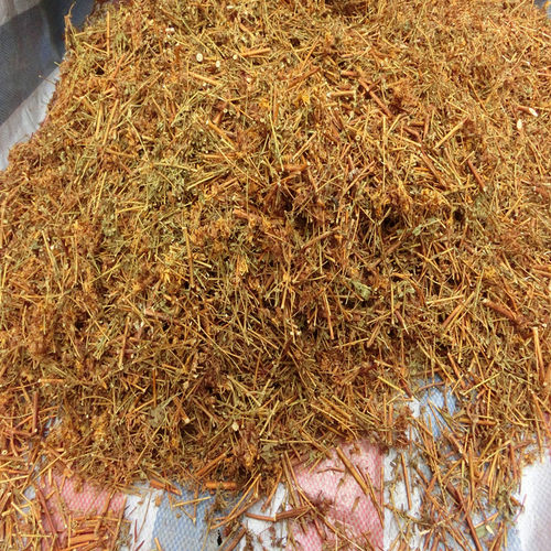 贯叶连翘金丝桃秦岭圣约翰草大对月草小对月草过路黄500g包邮 - 图2