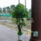 High-end money tree living room floor-standing bonsai plastic flower