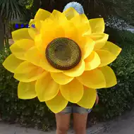 成人向日葵花 新人首单立减十元 21年8月 淘宝海外