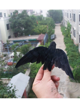 仿真燕子摆件真羽毛模型