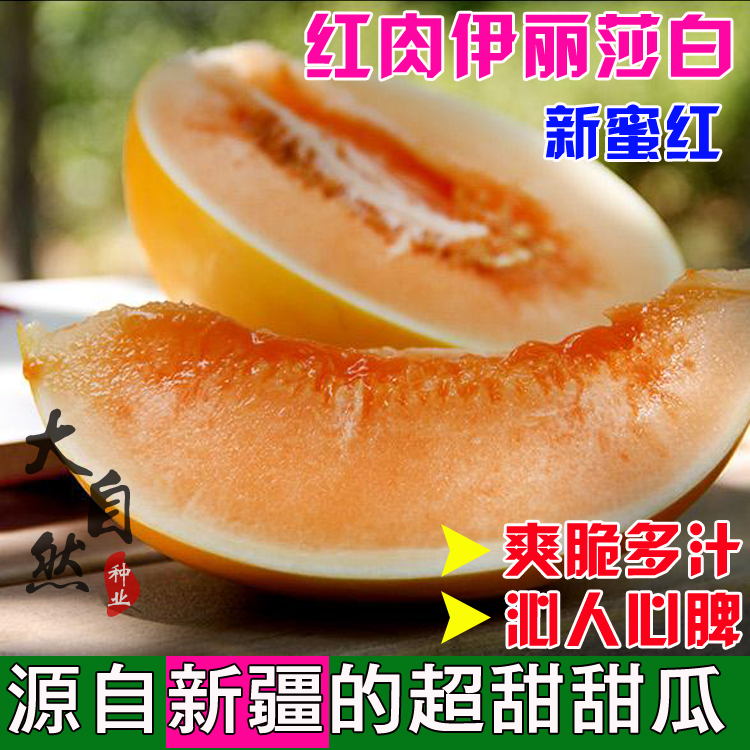红肉莎白甜瓜种子伊丽莎白香瓜哈密瓜高糖桔红白瓤春夏季水果种孑 - 图1