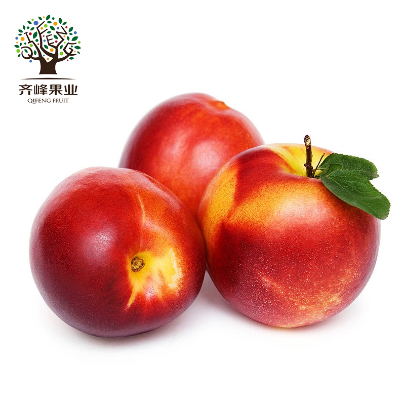 齐峰缘旗舰店黄心油桃新鲜5斤应季现摘大桃子整箱水果当季水蜜桃孕妇包邮桃3