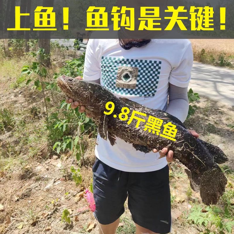 浮水打黑软虫雷蛙路亚饵滑口黑鱼专杀克星远投黑鱼软饵雷强饵假饵-图2