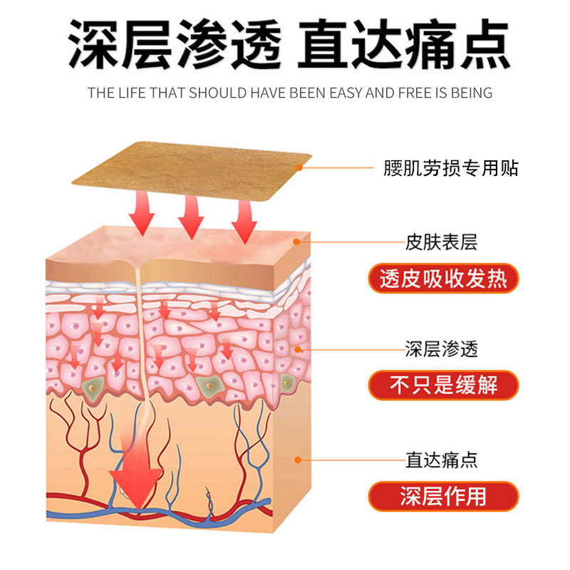 极速苗济衆腰肌劳损贴保健贴布膏椎间盘腰酸腰痛背痛腰疼跌打损伤 - 图1