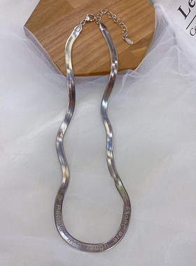 钛钢饰品蛇骨链项链q女刀片颈链短款脖链锁骨ins冷淡风银项圈