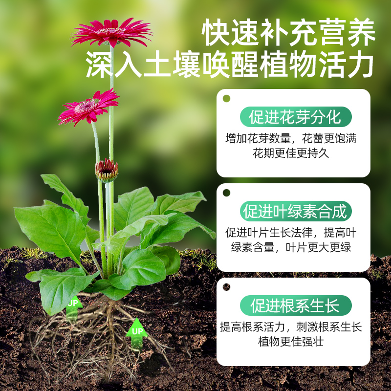 极速缓释肥花肥料家用盆栽通用型颗粒复合肥有机肥料花卉绿植用氮 - 图3