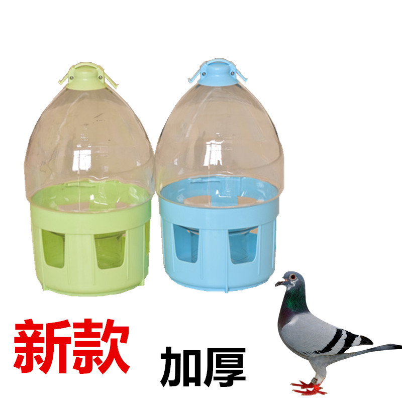 鸽子信鸽饮水子器赛鸽用具用品大全鸟用水壶透明水槽精鸽具品抗摔 - 图3