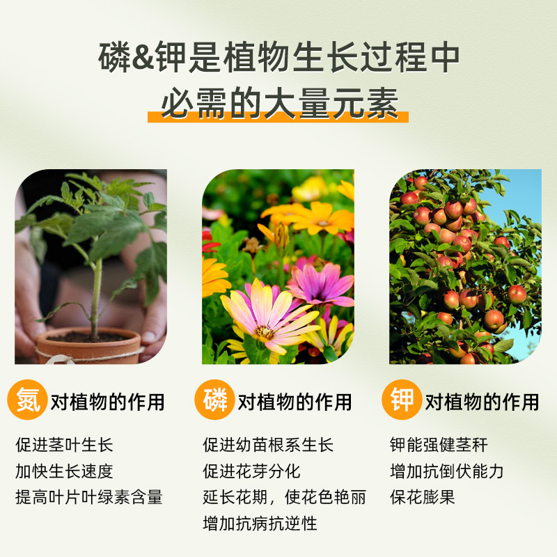 永通出品花无缺水溶肥花卉蔬果种菜种花室内外庭院通用型肥料 - 图3