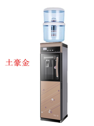 饮水机立式冷热制冷冰温热过滤带B桶净化桶净水器家用厨房直饮包 - 图1