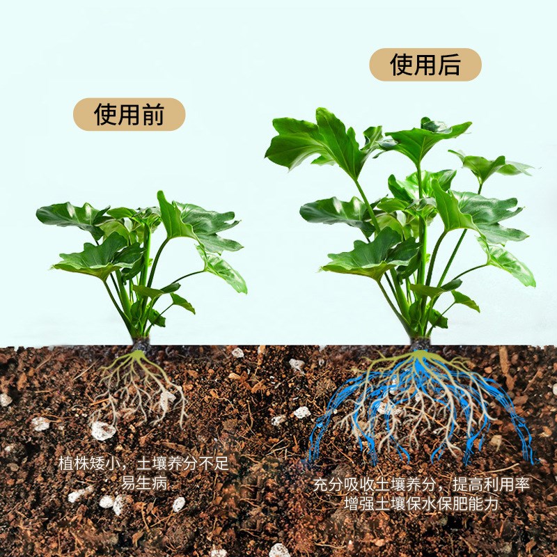 快速生根粉树木生根剂植物果树苗木移栽种植生根水壮苗剂发根剂 - 图2