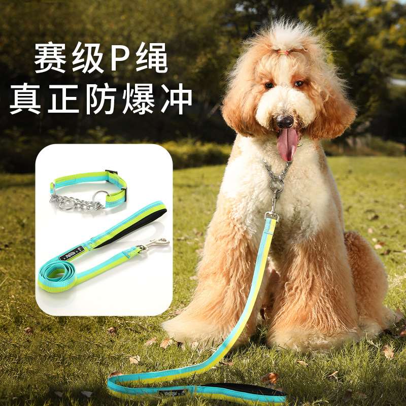 速发High stength nylon triange chain collar training pet dog - 图0