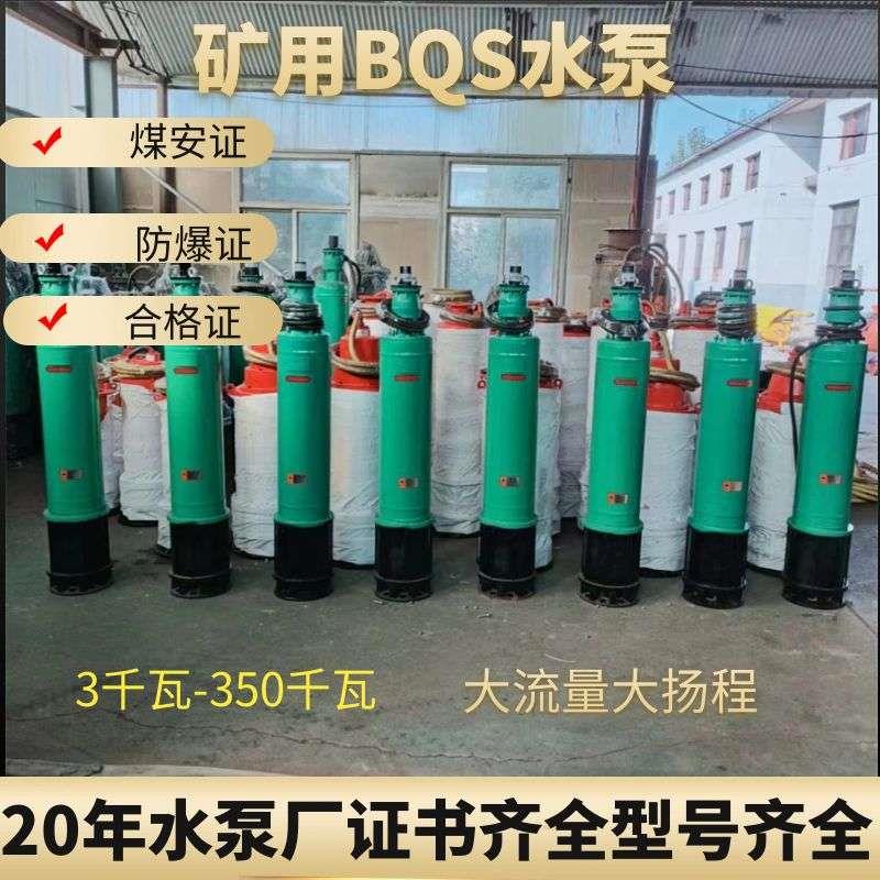 厂家BQS矿用隔爆型潜水排沙泵 660v煤矿潜水泵防爆排污泵 煤安证