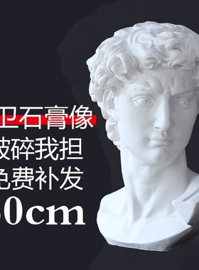 石膏像大卫头像美术生素描静物欧式雕塑美术教具石膏人物头像胸像