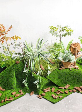 绿植室内景观造景设计店铺橱窗氛围布置幼儿园环创装饰场景