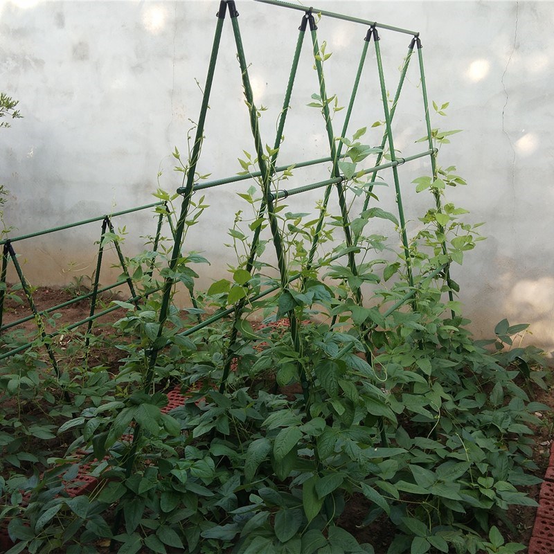 爬藤架种c菜架子园艺花架花园阳台花爬架植物豆角黄瓜架葡萄架户