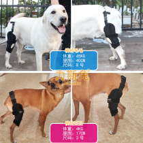 Promotion pooch knee support protective q with cruciate ligament patella deposition fixing strap protective rear leg fracture
