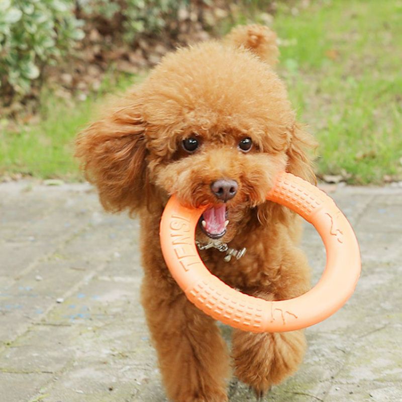 Dog Toys Pet Fklying Dink Trsining Ring Puller Aati-Bite Flo - 图1