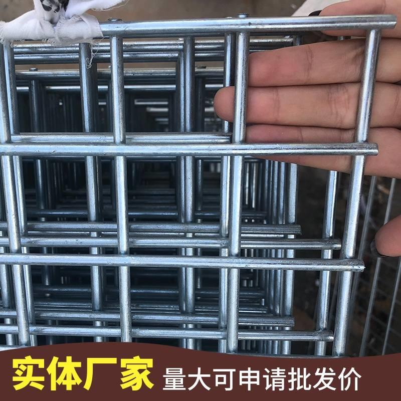 新品镀锌铁丝网电焊网片围栏小孔加粗狗笼养殖建筑钢筋Z网格网钢-图0