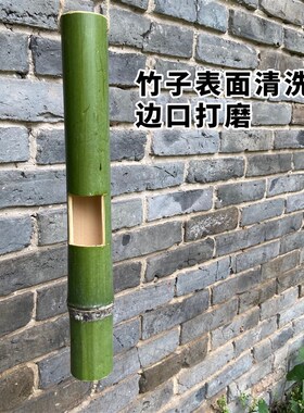 新鲜竹筒花器竹子摆件挂饰天然绿色无漆手工竹制品装饰插花筒花瓶