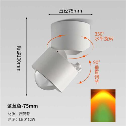 夕阳灯日不e落射灯洗墙可调角度家用客厅玄关照画气氛灯商铺照 - 图1