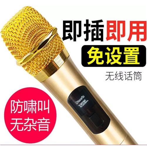 推荐Wireless Bluetooth Karaoke Microphone Mini Portable Spea - 图1