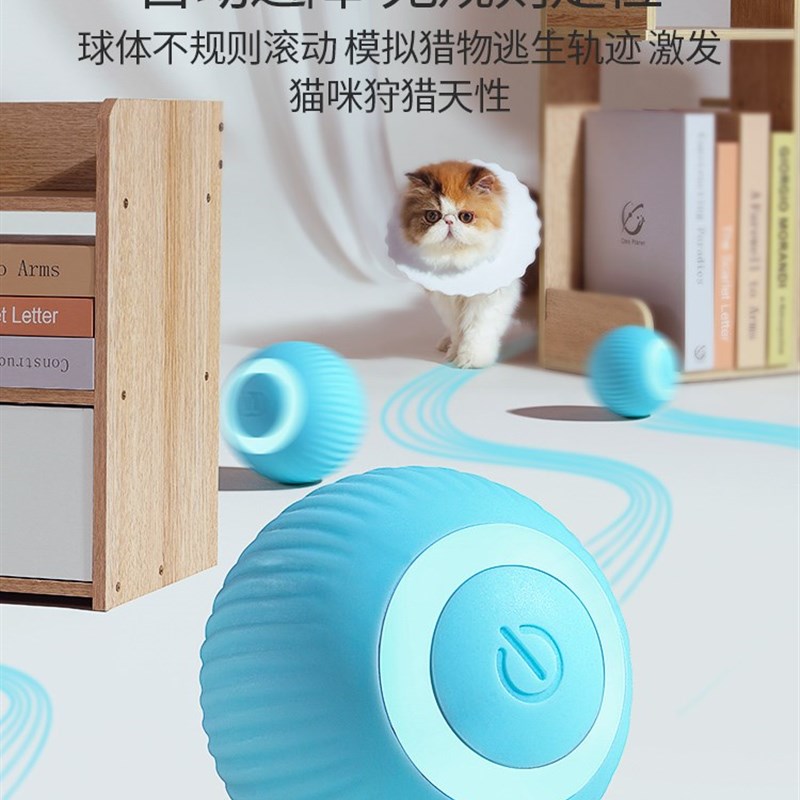 art Cat Toys Intactiev Ball Caintp CaNt Training Toy P - 图0