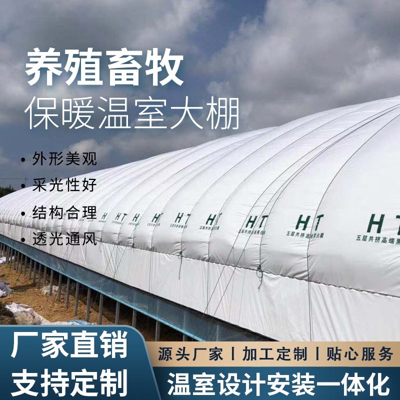 现货速发养鸡大棚全套温室支架单栋养鹅热浸镀锌拱杆薄膜阳光工程 - 图2