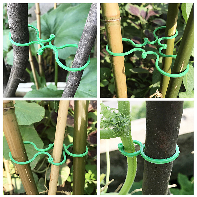 50Pcs Plastic Vine Strappingzlklips Tie Plant Bundled BucC e - 图1