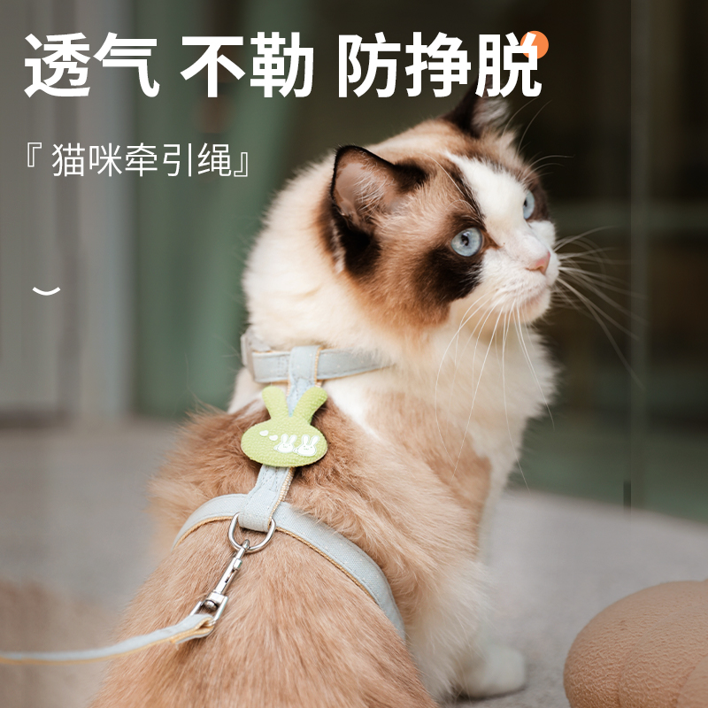 猫咪绳引牵防挣脱外出绳用遛猫专溜猫链子宠物胸背带猫绳子可调节