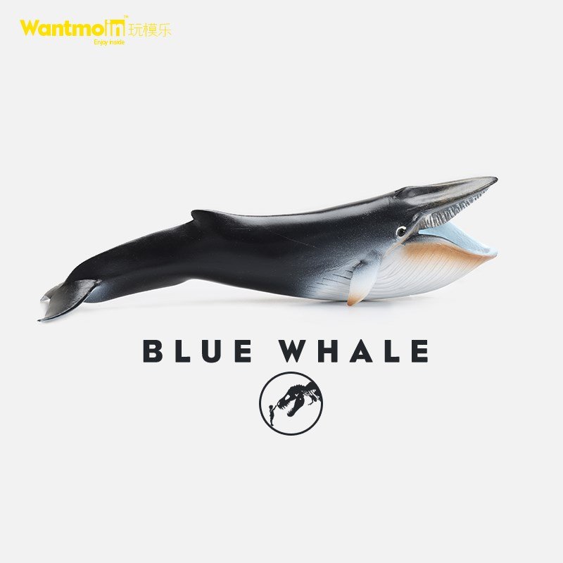 推荐Wantmoin model simulation ocean animal model toys solid - 图0